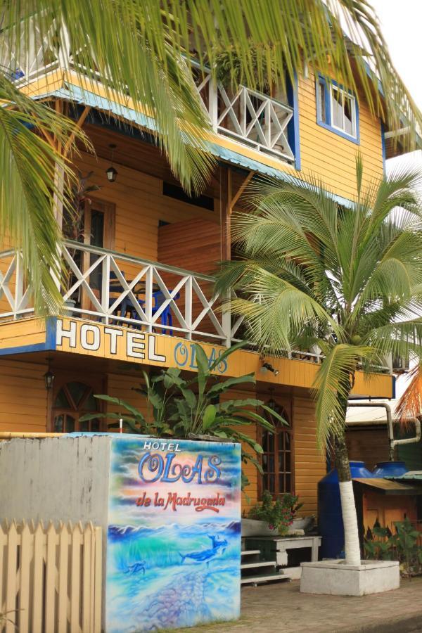 בוקס דל טורו Hotel Olas מראה חיצוני תמונה